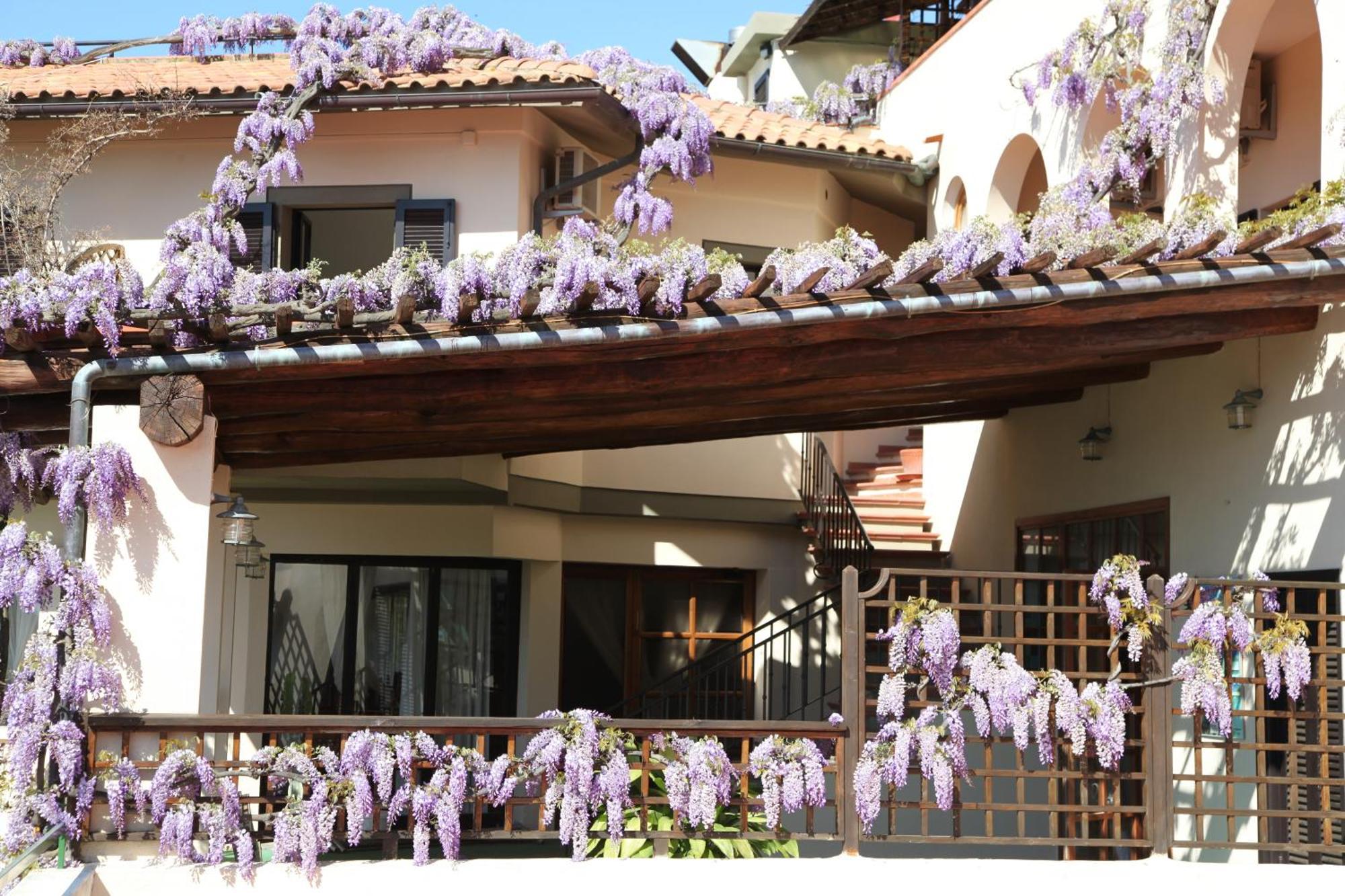 Galli - Wellness&spa Hotel Fetovaia
