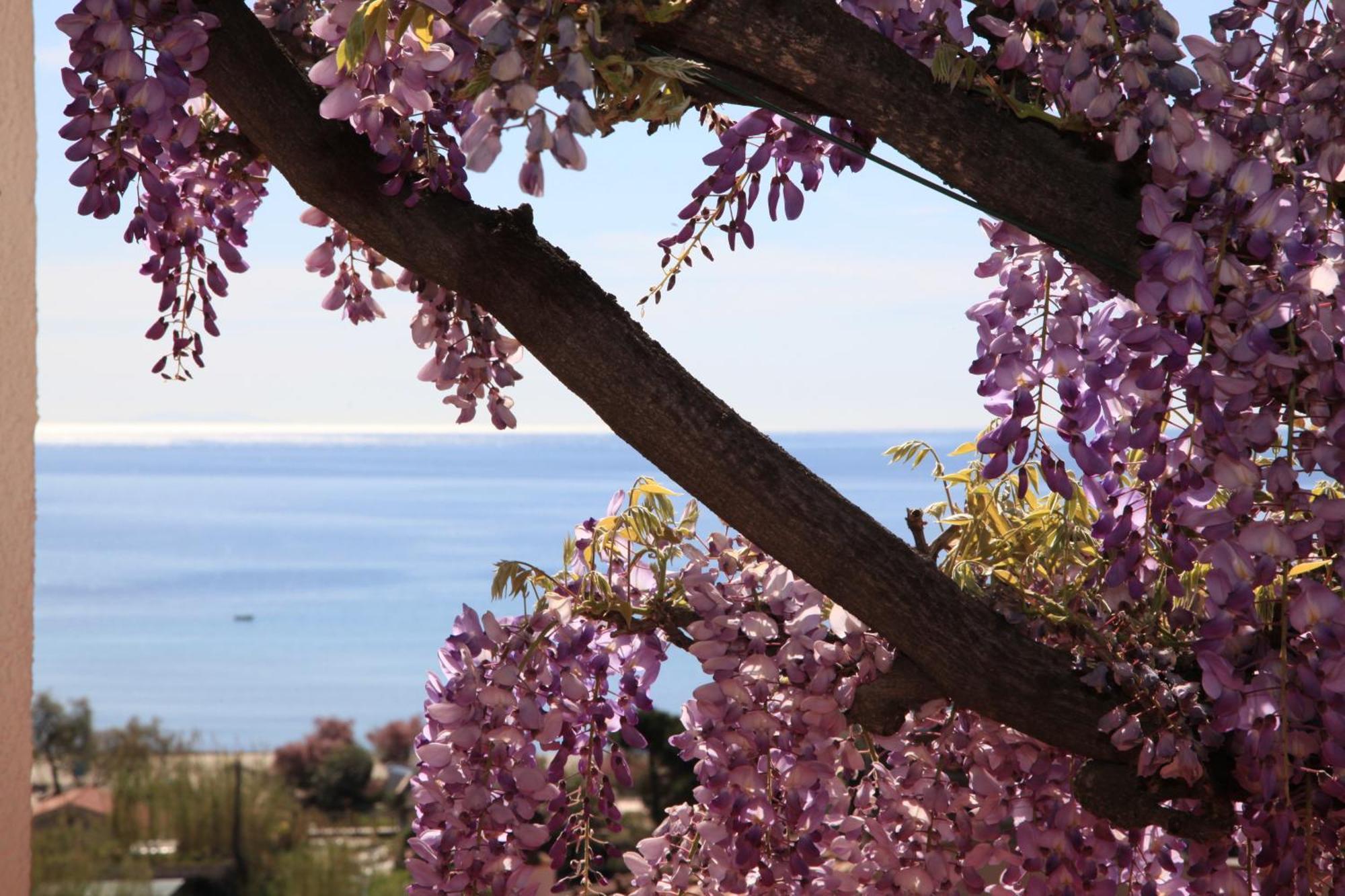 Galli - Wellness&spa