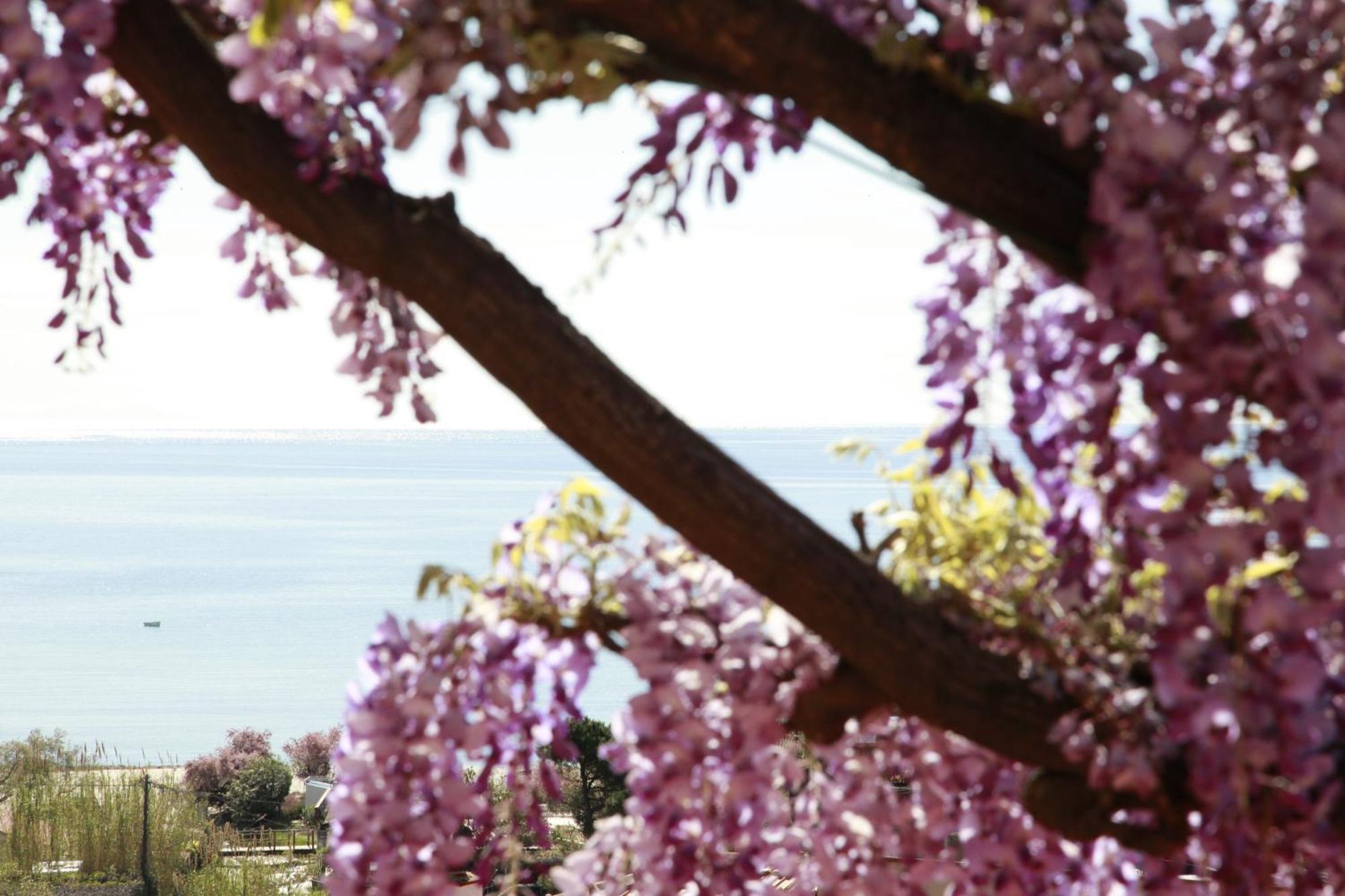 Galli - Wellness&spa
